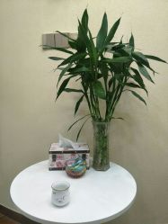 -芳朵美容养生SPA