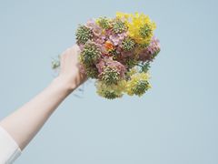 -中国天府农业博览园