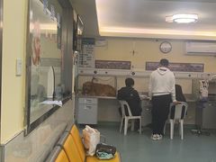 -动物缘宠物医院·骨科·猫科(西二环店)