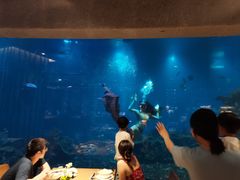 -海棠湾洲际-涛·海底餐厅·美人鱼·自助餐·海底隧道