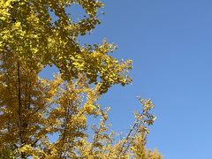 -魏家凉皮(博水商务大厦店)