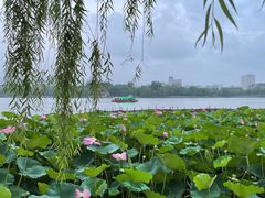 -济南大明湖景区