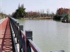 -上海长兴岛郊野公园