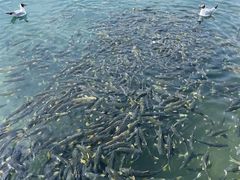 -青海湖二郎剑景区