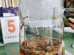 -天源渔港农庄
