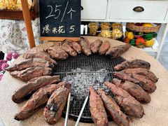 -京北渔家傲