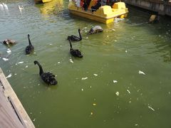 -无锡动物园·太湖欢乐园