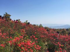-瑞安圣井山景区
