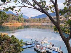-广州市流溪河国家森林公园