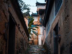 -杨家堂村