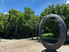 -广东惠东海龟国家级自然保护区
