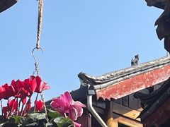 -民食香·腊排骨野生菌美食(木府店)