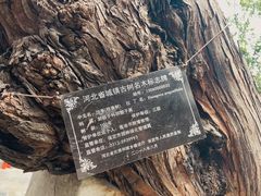 -莲池书院博物馆