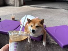 -HANA COFFEE(长寿路店)