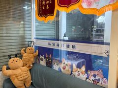-芭比堂动物医院·心脏科·老年急重症·夜诊·吉雅分院