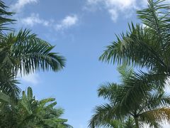 -呀诺达热带雨林