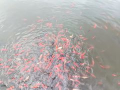 -西宁市人民公园(城西区)