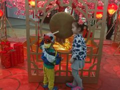 -15年老字号鑫鑫猪肚鸡·椰子鸡海南火锅(兴隆华侨农场店)