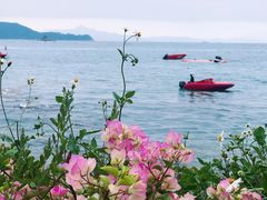 -大梅沙海滨公园