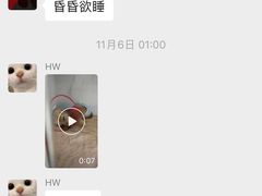-北京派仕佳德动物医院·超导核磁·CT·神经科·骨科·内外科·急重症管理中心