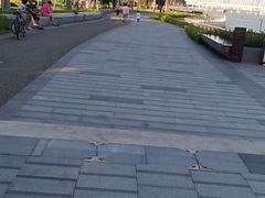 -深圳湾公园(南山区)