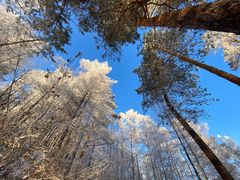-北极村旅游风景区