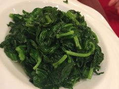 -舒蔡记生煎菜饭(云南中路店)