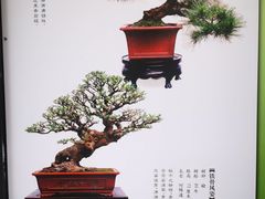 -杭州植物园