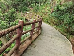 -羚羊峡古栈道森林公园