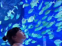 -成都浩海立方海洋公园