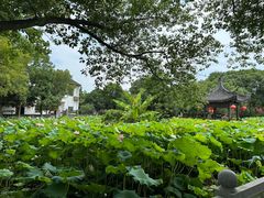 -丝绸小镇荻港古村