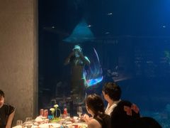 -海棠湾洲际-涛·海底餐厅·美人鱼·自助餐·海底隧道