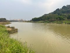 -风云岭森林公园