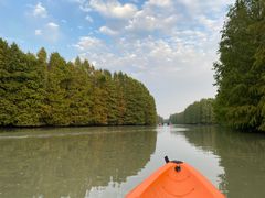 -上海海湾国家森林公园