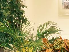-威克特披萨汉堡