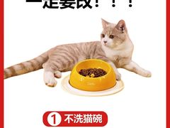 -艾吉宠物医院·疑难杂症转诊中心·猫友好(碧江路院)