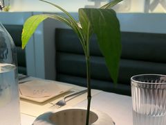 -春树下·树屋花房西餐厅(罍街AS1980店)