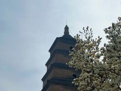-大慈恩寺(大雁塔)