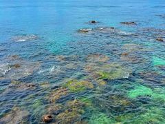 -三亚西岛海洋文化旅游区