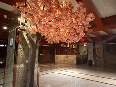 -地中海传奇水汇