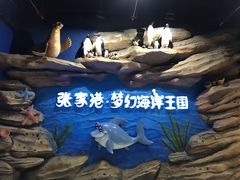 -梦幻海洋王国(吾悦广场张家港店)