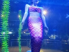 -白鹿仓冰雪海洋世界