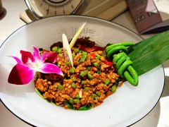 罗勒叶炒鸡肉碎-太食獸泰式茶餐厅(北美新天地店)
