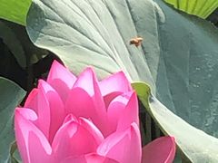 -郭守敬纪念馆
