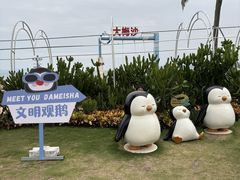 -大梅沙海滨公园