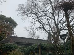 -旅马餐厅(茅家埠店)