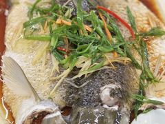 -和乐喜点(宝岗大道店)