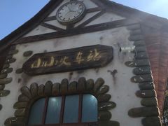 -东平国家森林公园