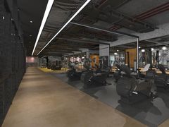 -金吉鸟健身游泳