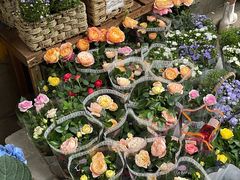 -循礼门鲜花花市(武汉循礼门店)